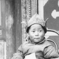 Биография далай ламы Тибет где живет далай лама